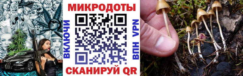 Псилоцибиновые грибы мухоморы  сайты даркнета какой сайт  Новочебоксарск 